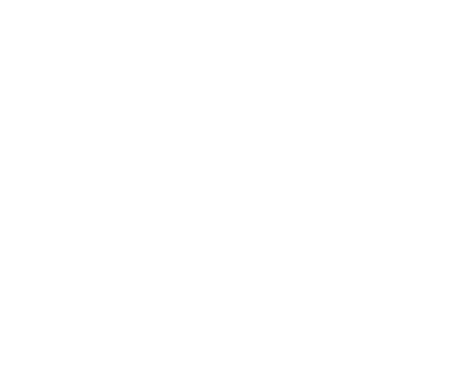 Pho3nix x JX Logo White